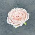 Testa di fiore di peonia artificiale rosa con petali di seta e foglie decorative - Rosa Chiaro