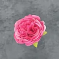 Testa di fiore di peonia finta in seta rosa con petali e foglioline verdi - Rosa Rossa