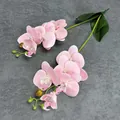 Artificial pink moth orchid with two stems and lifelike silk petals for home decor - Pink
