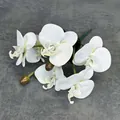 Realistic white 3D printed phalaenopsis orchid branch with five blooming heads - White
