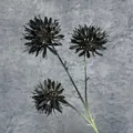Artificial black 3-head allium ball flower with green stem for modern home decor - Black