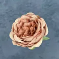 Testa di fiore di rosa peonia artificiale in rosa polvere per decorazioni - Caramello