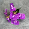 Rama de orquídea phalaenopsis púrpura 3D realista con pétalos de textura suave - Púrpura