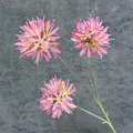 Pink artificial three-head scallion ball flower with green stem on dark fabric - Deep Pink
