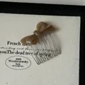 Detailed macro view of an amber acetate bow hair comb with high-quality metal tines - Ivory