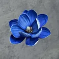 Königsblaue EVA-Magnolienblüte mit weißen Rändern auf grauem Steingrund - B6--13cm8 Größe