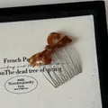 Close-up of a tortoiseshell acetate bow hair comb with a 6-prong silver metal base - Amber