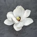 Realistische 13cm weiße EVA-Schaum Magnolienblüte für Kopfschmuck oder Dekoration - B10--13cm10 Größe