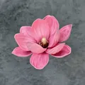 Lebendige pinkfarbene EVA-Magnolienblüte mit realistischer Textur und gelben Staubblatt - 13cm / Leuchtendes Rosa (Nr. 15)