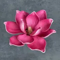 Künstlicher EVA Magnolienblütenkopf in kräftigem Rosa mit realistischen weißen Rändern - C2--15cm Nr. 1