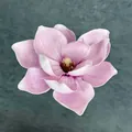 Rosa EVA Magnolienblüte Kunstblume mit realistischen Blütenblättern und gelben Staubgefäßen - C3 – 15 Cm Größe 6