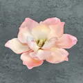 Rosa Magnolienblüte aus EVA mit Farbverlauf, 13cm Kopf für Haarschmuck Deko - A1 – 18 Cm Größe 3