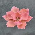 Rosa EVA Magnolienblütenkopf mit realistischen Blütenblättern und Staubblatt-Detail - A15 – 18 Cm Größe 15