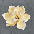 Künstlicher 13 cm EVA Magnolienblütenkopf mit Creme-Verlauf und realistischer Textur - A5 – 18 Cm Größe 13