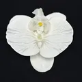 White silk artificial orchid flower head with realistic yellow center for DIY wedding decor - Phalaenopsis Flower Head - Large / 11.5CM / White