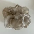 Macro detail of champagne organza scrunchie with shimmering translucent texture and soft pleats - Champagne