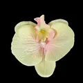 Artificial orchid flower head in cream and pink with pearl center for DIY weddings - Phalaenopsis Flower Head - Large / 11.5CM / Light Yellow