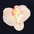 Single artificial butterfly orchid head with pink and white gradient petals on black background - Phalaenopsis Flower Head - Large / 11.5CM / Pink Champagne