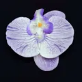 Single purple and white artificial orchid flower head with realistic texture and yellow center - Phalaenopsis Flower Head - Large / 11.5CM / Purple