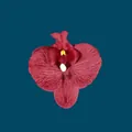Artificial deep red orchid flower head with realistic petals and detailed yellow stamen - Phalaenopsis Flower Head - Small / 9.5CM / Red