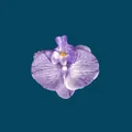 Artificial purple orchid flower head with natural gradient for DIY wedding decor - Phalaenopsis Flower Head - Small / 9.5CM / Purple