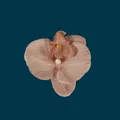 Artificial orchid flower head in vintage dusky pink for wedding DIY crafts and hair decor - Phalaenopsis Flower Head - Small / 9.5CM / Dark Coffee