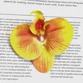 Artificial orchid flower head in bright yellow with realistic red vein details - Simulation Phalaenopsis Flower Head (Small) / 9.5CM / Orange