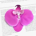 Artificial phalaenopsis orchid head in purple gradient with realistic petals for DIY crafts - Simulation Phalaenopsis Flower Head (Small) / 9.5CM / Purplish Red