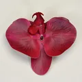 Artificial deep magenta orchid flower head with realistic textures for DIY wedding decor - Simulation Phalaenopsis Flower Head (Small) / 9.5CM / Red