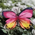 Vibrant pink and orange gradient artificial orchid butterfly decoration with black spots - Simulation Butterfly (Large 15) / 11cm / Pink Orange Yellow Gradient