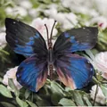 Artificial butterfly ornament with blue purple gradient wings and realistic texture - Simulation Butterfly (Large 19) / 11cm / Black Blue Purple Gradient
