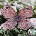 Realistic phalaenopsis butterfly head in brown and blue for wedding DIY decor - Simulation Butterfly (#11) / 9cm / Tan
