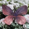 Purple and pink gradient artificial orchid flower head for wedding DIY crafts decoration - Simulation Butterfly (#12) / 9cm / Purple Gradient