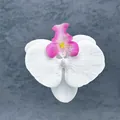 Artificial white phalaenopsis orchid head with magenta center for DIY wedding decor - Phalaenopsis Flower Head - Small / 9.5CM / White with Purple Center