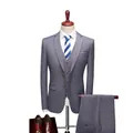 Grijs driedelig herenpak in slim fit met vest, pantalon en blauw gestreepte stropdas - Lichtgrijs