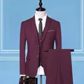 Slim fit driedelig herenpak in elegant wijnrood met blazer, vest en bijpassende pantalon - Fuchsia