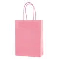Sac cadeau minimaliste en papier kraft rose avec poignées en corde torsadée assorties - Rose ; Format Mini A Vertical - 12 X 6 X 16 Cm De Hauteur
