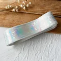 Macro detail of laser holographic rose pattern on silver ribbon roll with pink fastener - Long Style / White