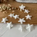DIY craft supplies featuring white satin 3D five-point star fabric patches on a wood tray - White Star Patch