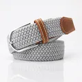 Elastic woven canvas belt in light grey featuring a silver pin buckle and brown leather accents - Gray