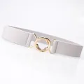 Light grey elastic belt for women featuring a minimalist gold double ring metal buckle - Gray