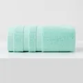 Soft mint green 100% cotton face towel with thick terry texture and twill stripes - Standard Size / Emerald