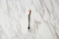 Schattige roze kattenpoot fruitvork met wit hars handvat en roestvrij staal - Vork / Wit