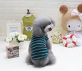 Ensemble de gilets rayés tricolores pour chien avec imprimé Glory sur caniche et mannequin - S / Vert