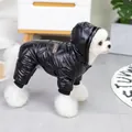 Detail eines glänzenden schwarzen wasserdichten Hundekampfanzugs mit Kapuze und Lederpatch - S / Schwarz
