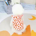 Detail of pet floral dress with red daisies on white fabric worn by a small dog - S / Red