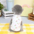 Détail du gilet d'été pour animaux avec motifs pêches et anneau en D pratique pour la laisse - S / Blanc Cassé