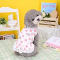 Detail of pink polka dot pet dress with lace hem on a small dog in a warm indoor setting - S / Pink