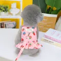 Close-up of pink strawberry print pet dress with ruffle hem and matching leash attachment - S / Strawberry