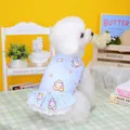 Detail of blue pet summer dress with cartoon toast prints and white lace hem on a dog - S / Blue